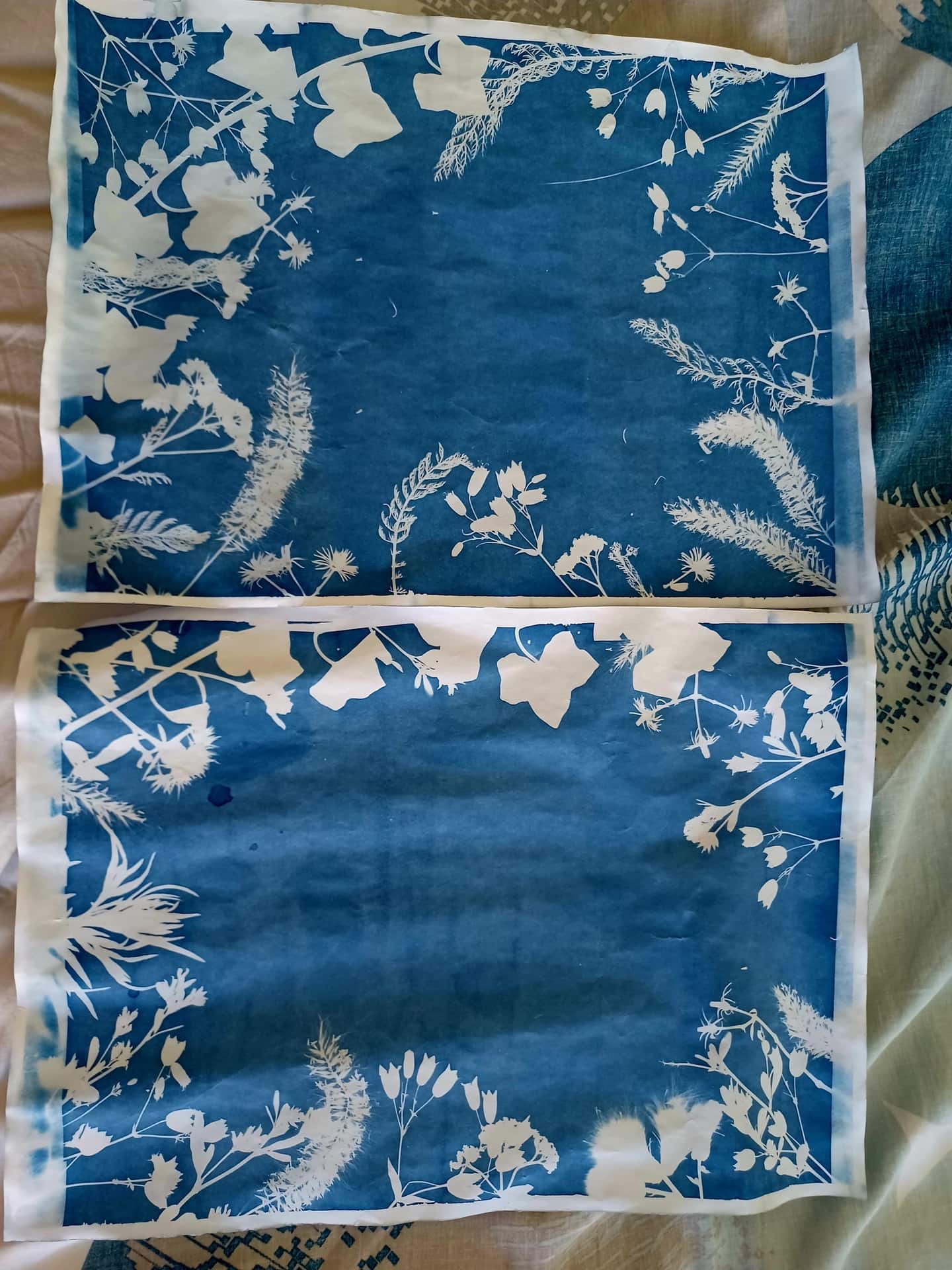 cyanotype final